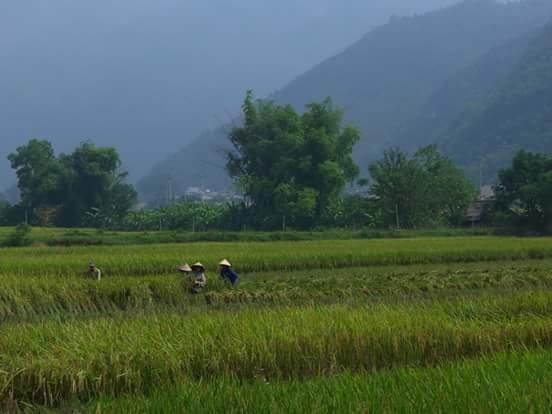 Linh Soi Homestay Mai Chau Exteriör bild