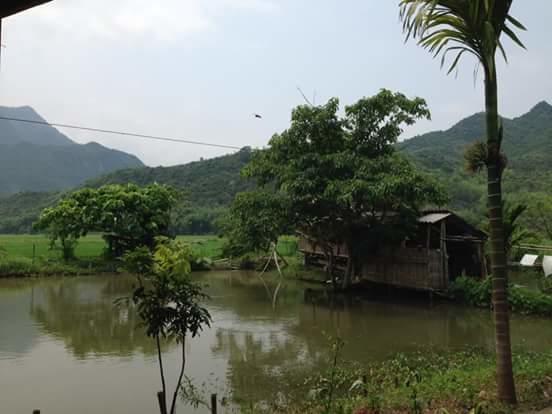 Linh Soi Homestay Mai Chau Exteriör bild